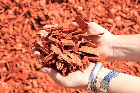 Red Bark Chips