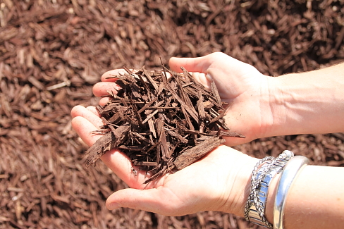 Brown Mulch