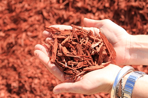 Red Dyed Mulch